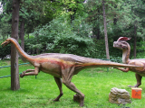 Ornithomimus