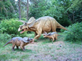 Triceratops - familie