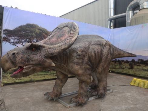 Protoceratops